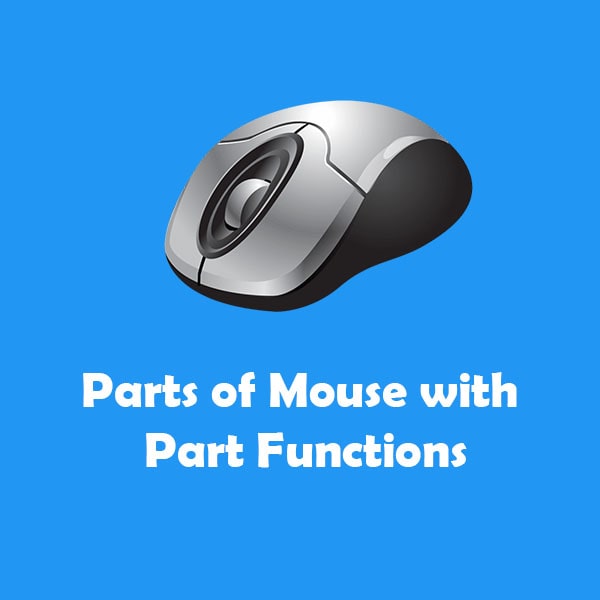 parts of mouse